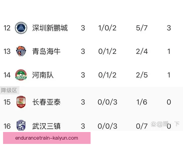 中超赛季最新排名形势与争冠保级走势分析